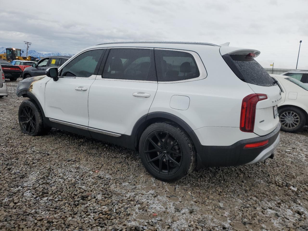 2020 KIA Telluride VIN 5XYP3DHC1LG078474 Copart auction photo, burn damage thumbnail 2
