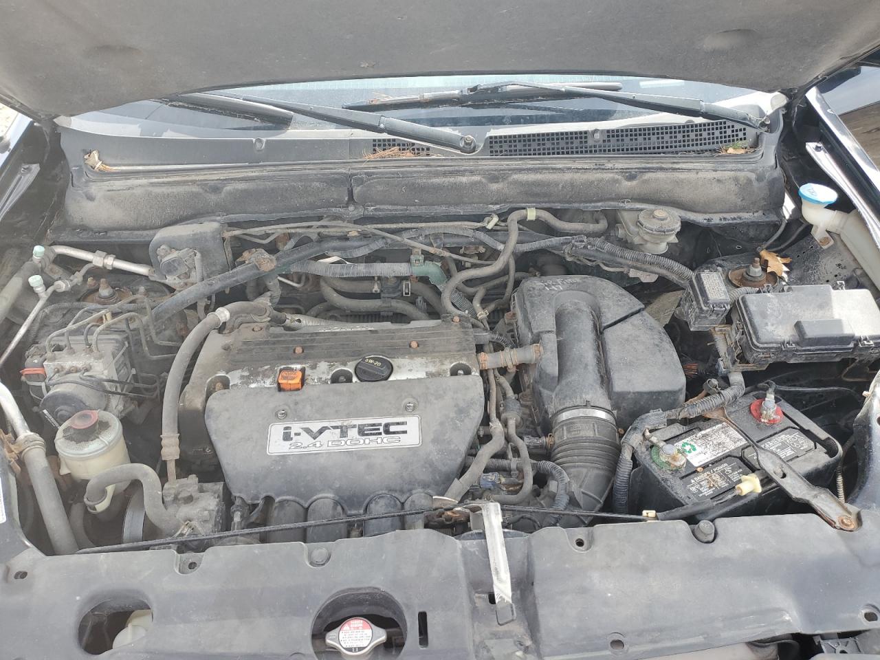 2005 Honda CR-V VIN JHLRD78865C003251 Copart auction photo, front end / rear end damage thumbnail 12