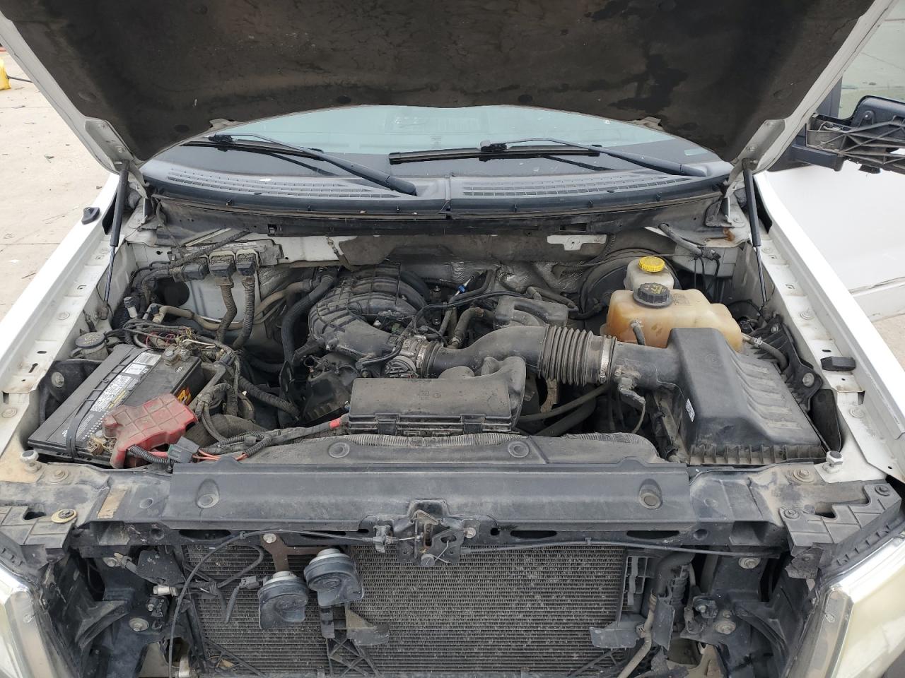 2014 Ford F-150 VIN 1FTMF1CM8EKE93247 Copart auction photo, front end / side damage thumbnail 11
