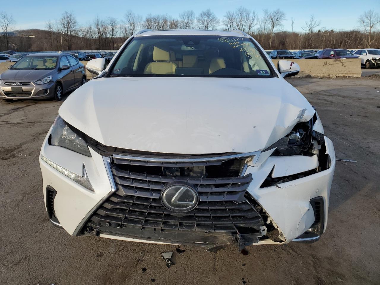 2019 Lexus NX VIN JTJBARBZ1K2179854 Copart auction photo, side / front end damage thumbnail 5