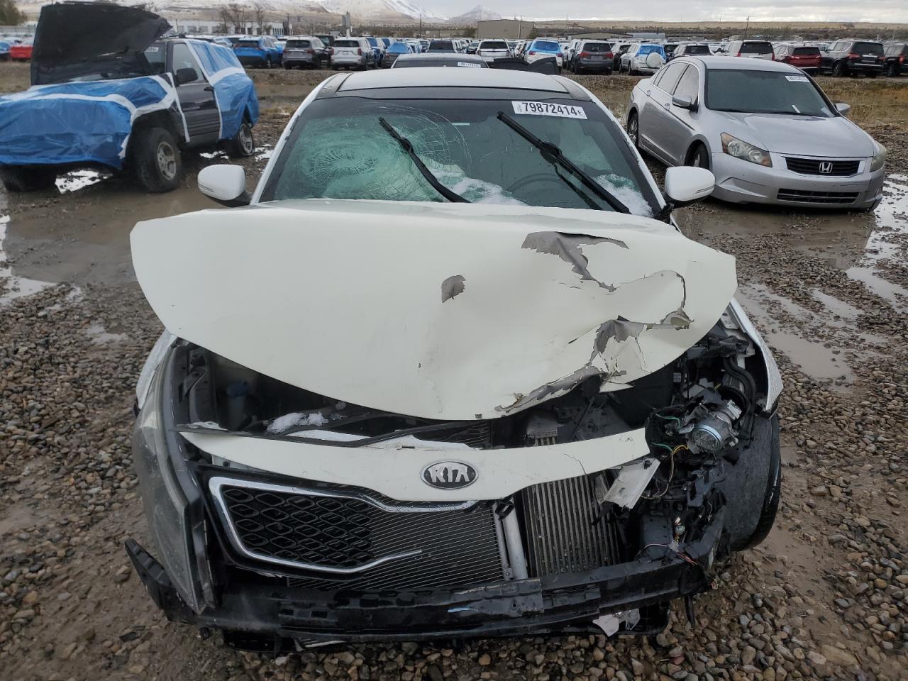 2013 KIA Optima VIN 5XXGR4A65DG131640 Copart auction photo, front end damage thumbnail 5