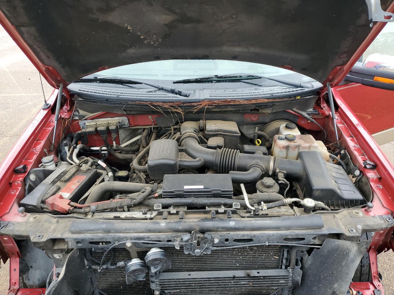2010 Ford F-150 VIN 1FTFW1CV2AKA17913 Copart auction photo, frame damage / front end damage thumbnail 11