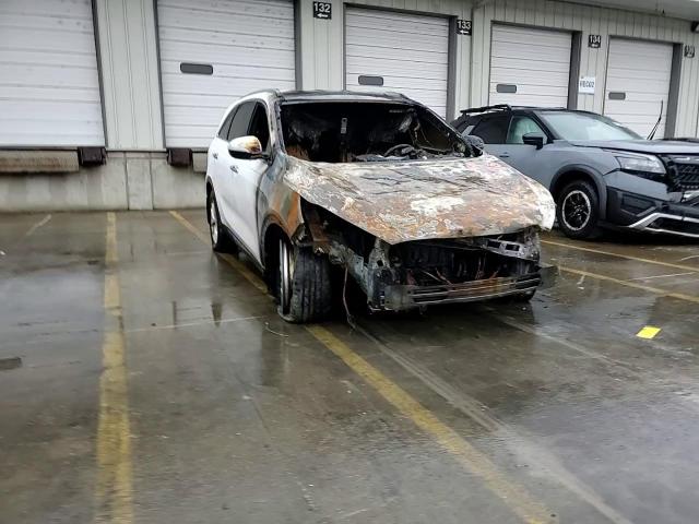 2016 KIA Sorento VIN 5XYPG4A32GG009118 Copart auction photo, burn damage thumbnail 10