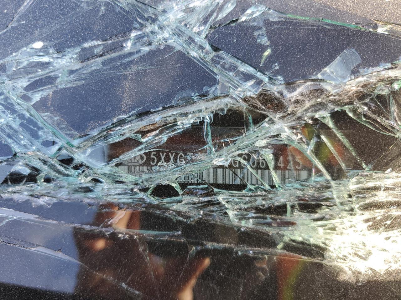 2016 KIA Optima VIN 5XXGT4L37GG069425 Copart auction photo, all over damage thumbnail 15