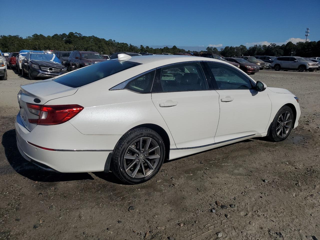 2021 Honda Accord VIN 1HGCV1F51MA001604 Copart auction photo, water/flood / top/roof damage thumbnail 3