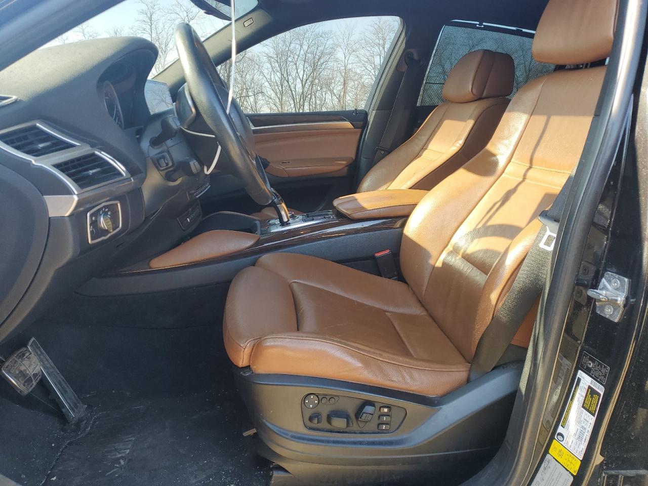 2010 BMW X6 VIN 5UXFG4C52AL225782 Copart auction photo, minor dent/scratches damage thumbnail 7