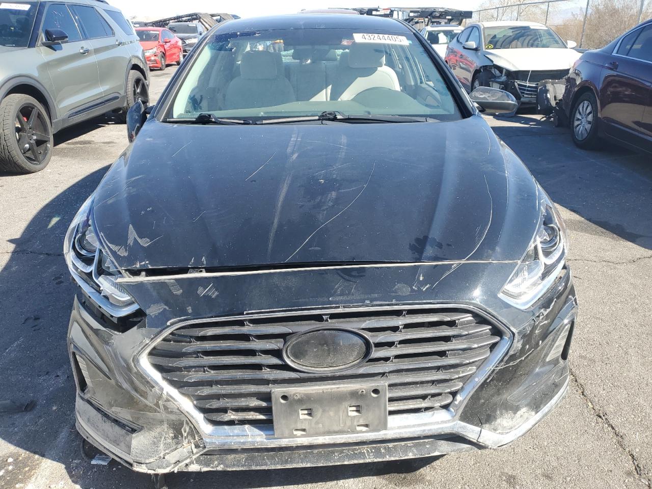 2019 Hyundai Sonata VIN 5NPE24AF1KH737059 Copart auction photo, vandalism damage thumbnail 5