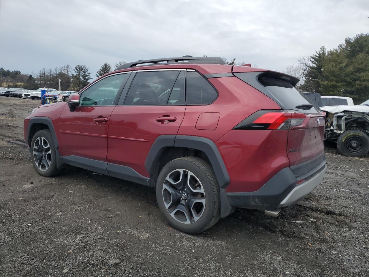 2019 Toyota RAV 4 VIN 2T3J1RFV0KW022961 Copart auction photo, side / minor dent/scratches damage thumbnail 2