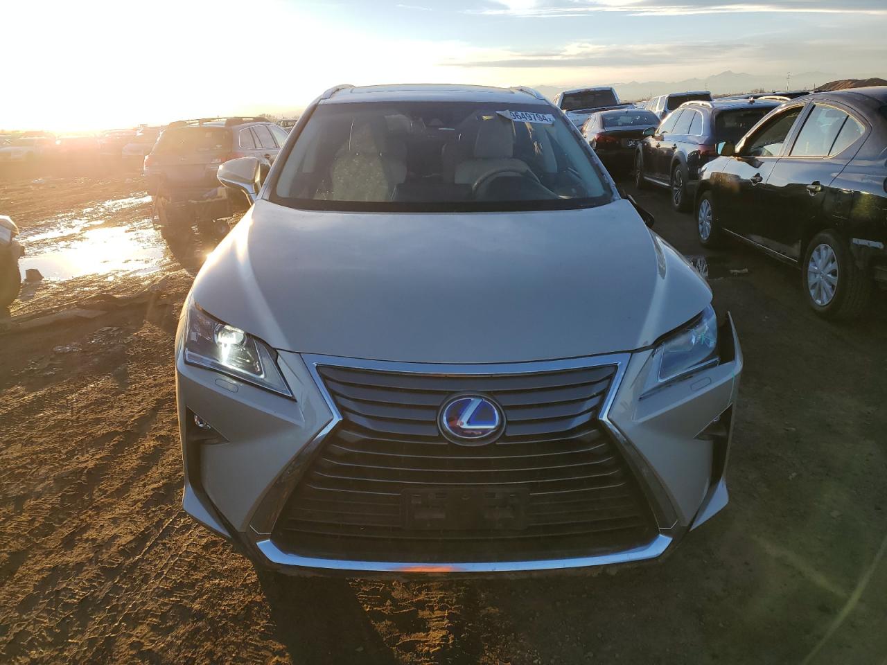 2019 Lexus RX VIN JTJDGKCA0K2007127 Copart auction photo, side damage thumbnail 5