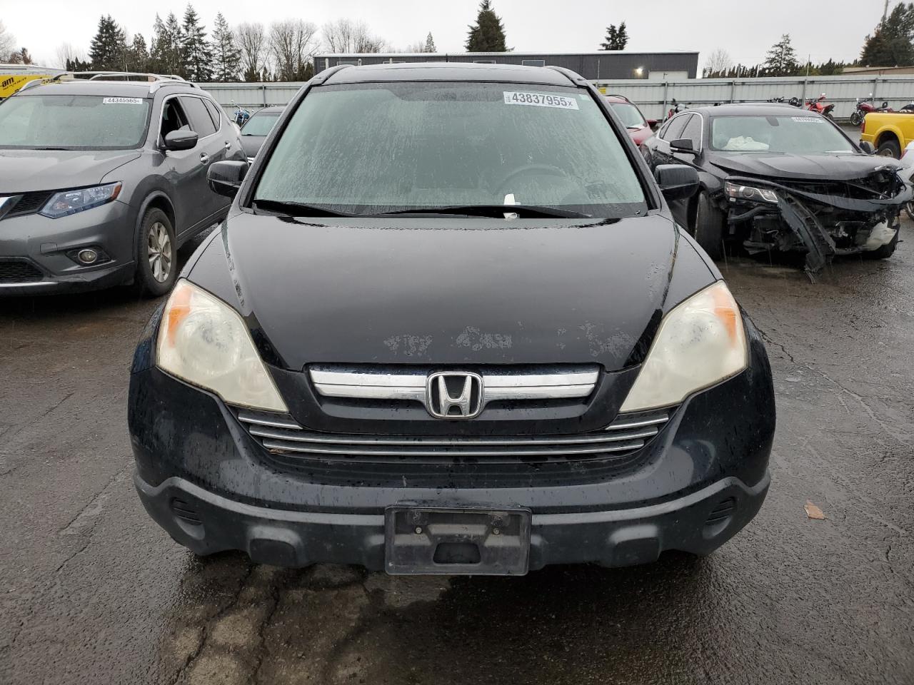 2007 Honda CR-V VIN JHLRE38747C041643 Copart auction photo, minor dent/scratches damage thumbnail 5