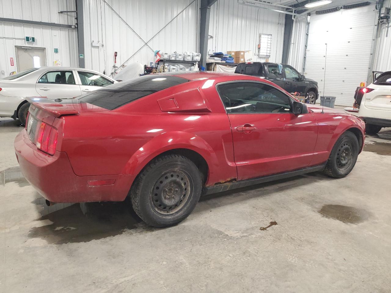 2008 Ford Mustang VIN 1ZVHT80N285149896 Copart auction photo, minor dent/scratches / normal wear damage thumbnail 3