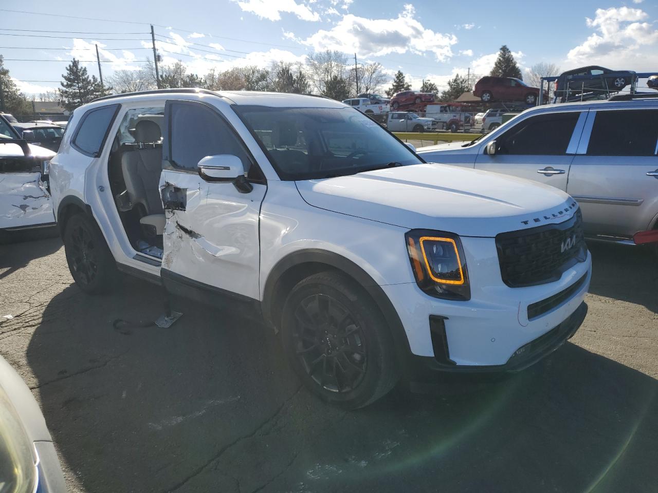 2022 KIA Telluride VIN 5XYP5DHC2NG246877 Copart auction photo, side damage thumbnail 4