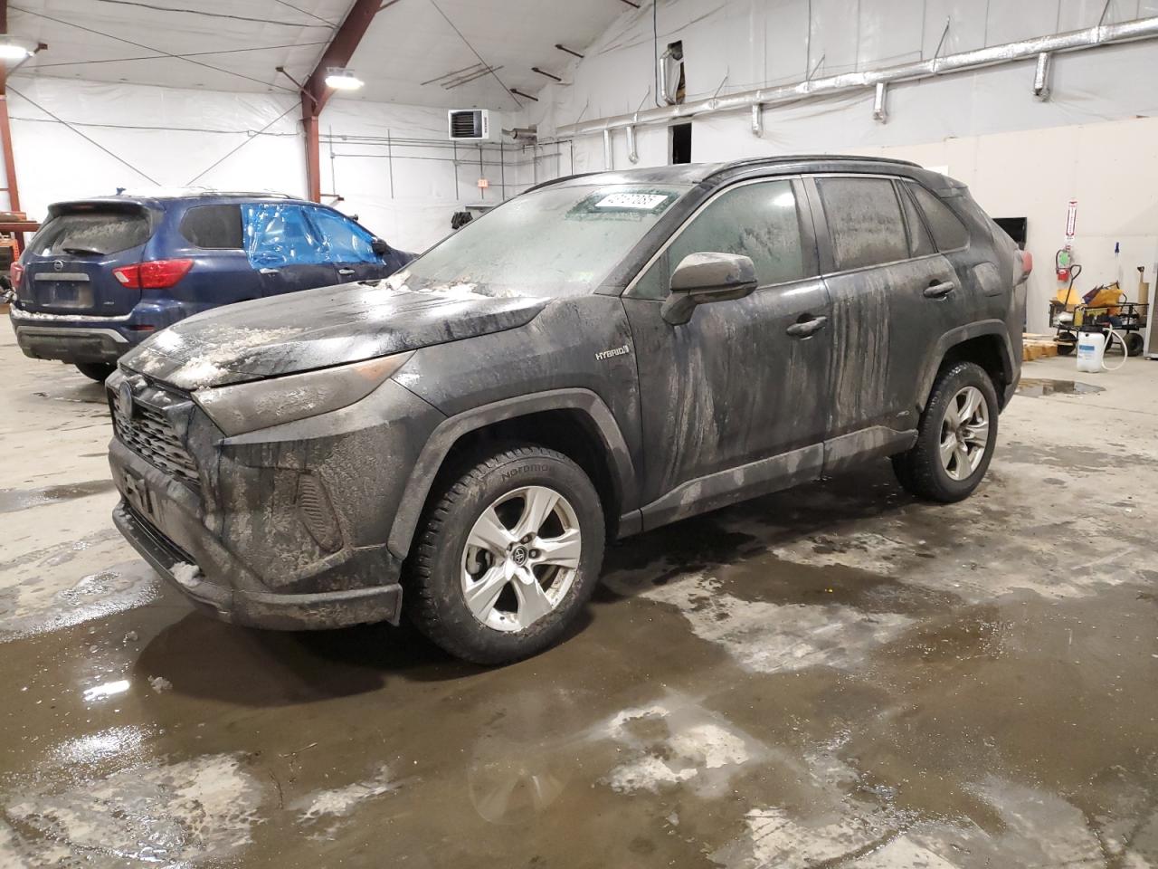 2019 Toyota RAV 4 VIN 2T3LWRFV7KW036060