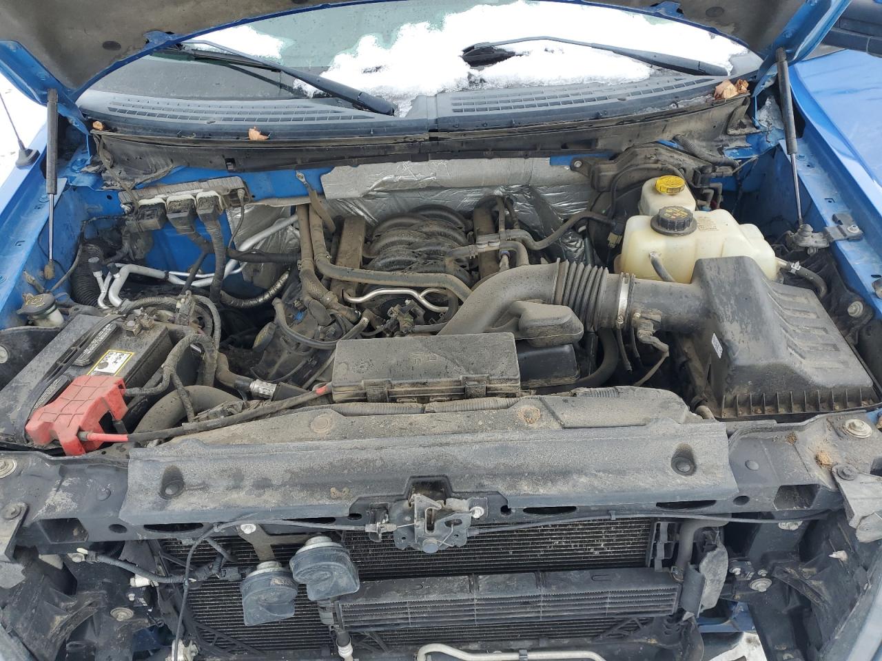 2014 Ford F-150 VIN 1FTFW1EF8EFD12373 Copart auction photo, front end / side damage thumbnail 11