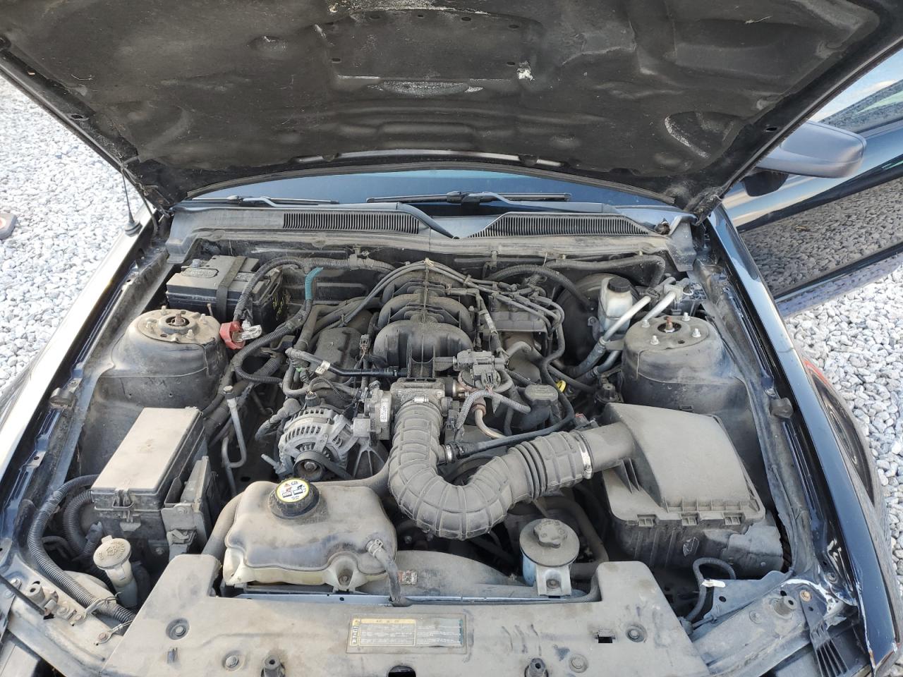 2009 Ford Mustang VIN 1ZVHT80N595104131 Copart auction photo, front end damage thumbnail 11