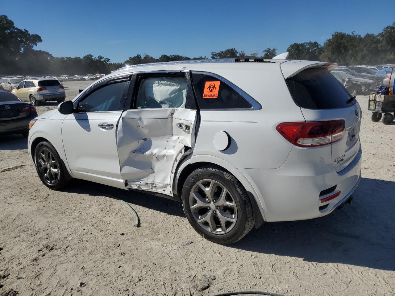 2018 KIA Sorento VIN 5XYPK4A51JG407976 Copart auction photo, side / minor dent/scratches damage thumbnail 2