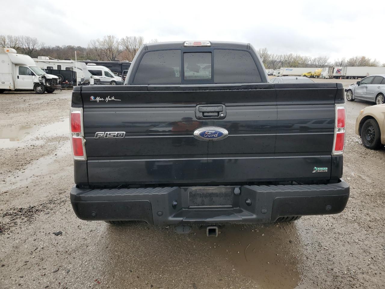 2010 Ford F-150 VIN 1FTFW1EV6AKE79257 Copart auction photo, top/roof / minor dent/scratches damage thumbnail 6