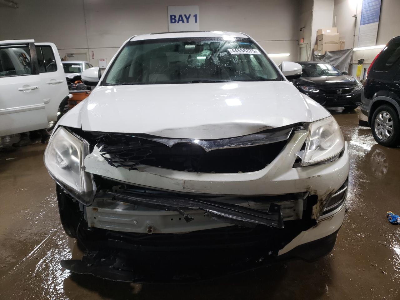 2010 Mazda CX-9 VIN JM3TB3MA9A0225120 Copart auction photo, front end damage thumbnail 5
