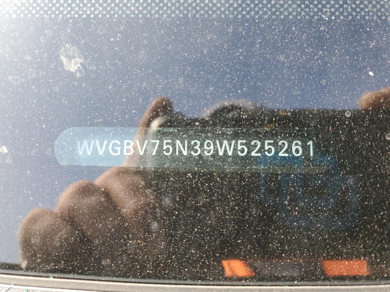 2009 Volkswagen Tiguan VIN WVGBV75N39W525261 Copart auction photo, rear end / minor dent/scratches damage thumbnail 16