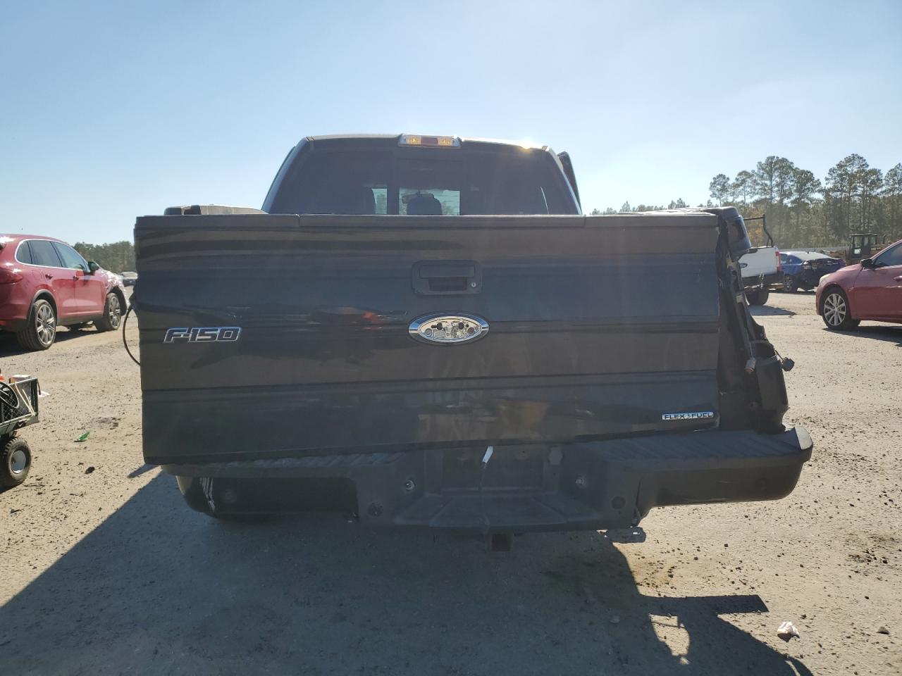 2013 Ford F-150 VIN 1FTFW1EF1DKF36686 Copart auction photo, side / rear end damage thumbnail 6
