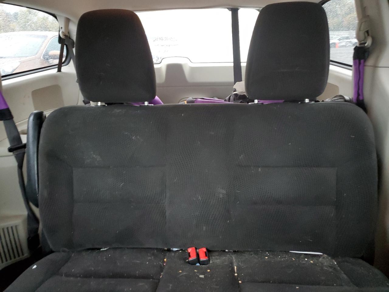 2016 Dodge Caravan VIN 2C4RDGBG8GR125875 Copart auction photo, front end / rear end damage thumbnail 10