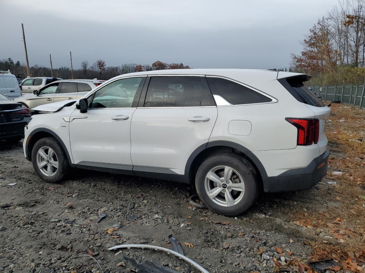 2021 KIA Sorento VIN 5XYRGDLC5MG023032 Copart auction photo, front end damage thumbnail 2