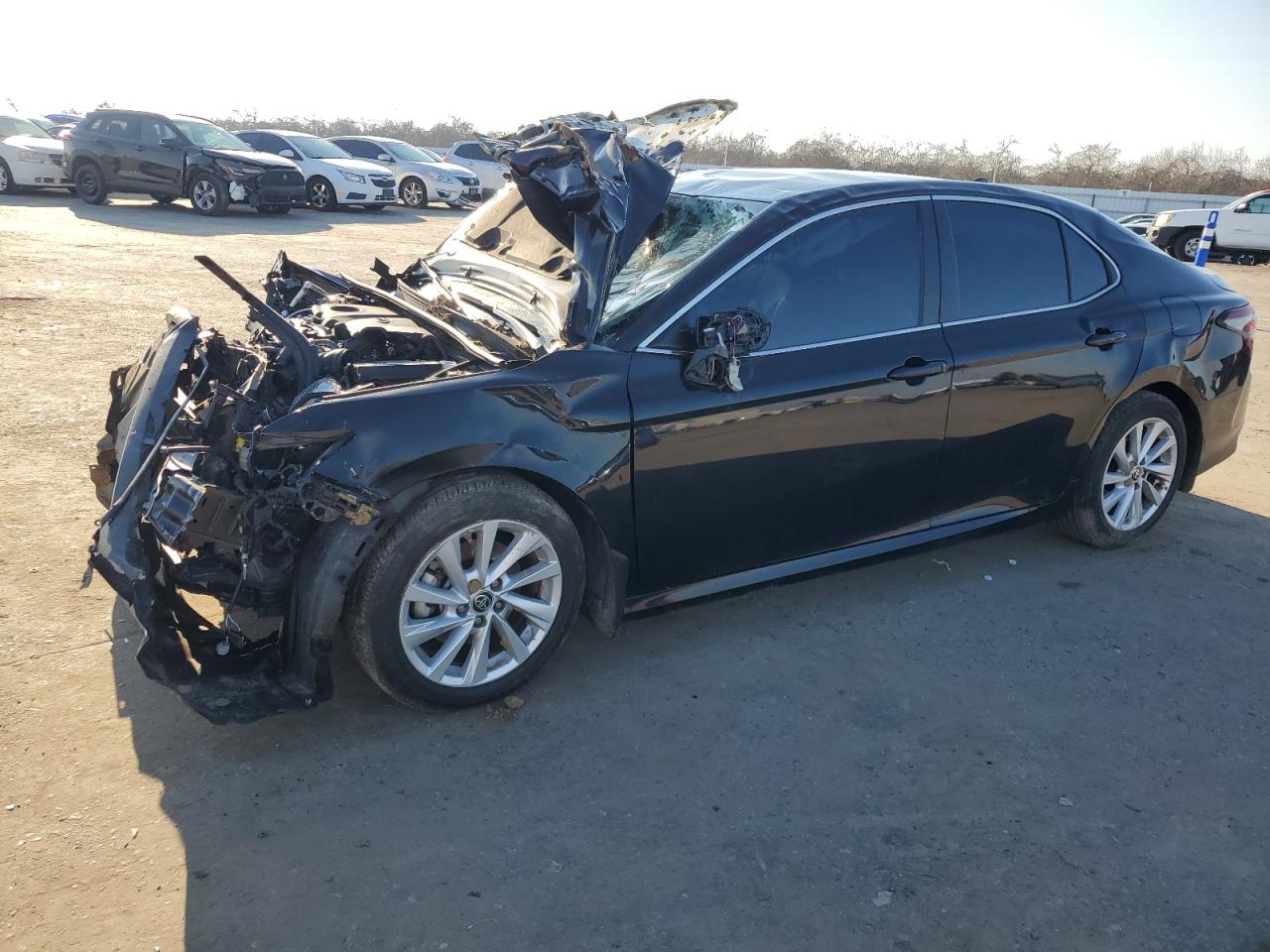 2023 Toyota Camry VIN 4T1R11AK4PU770341