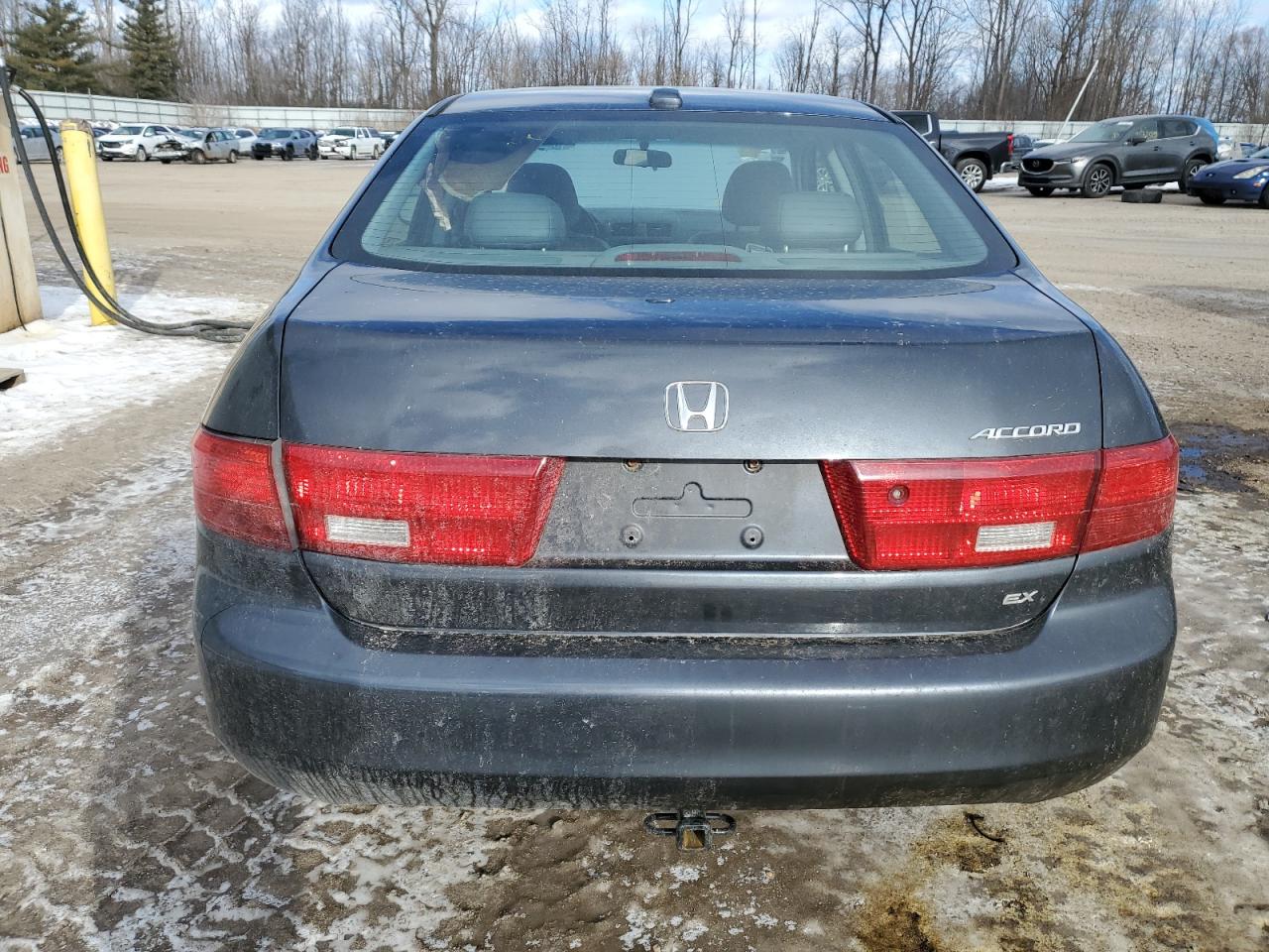 2005 Honda Accord VIN 1HGCM56805A010249 Copart auction photo, front end / rear end damage thumbnail 6
