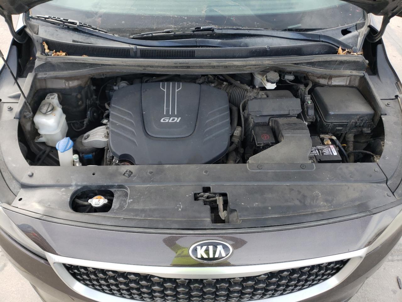 2016 KIA Sedona VIN KNDMC5C12G6170877 Copart auction photo, side / hail damage thumbnail 14