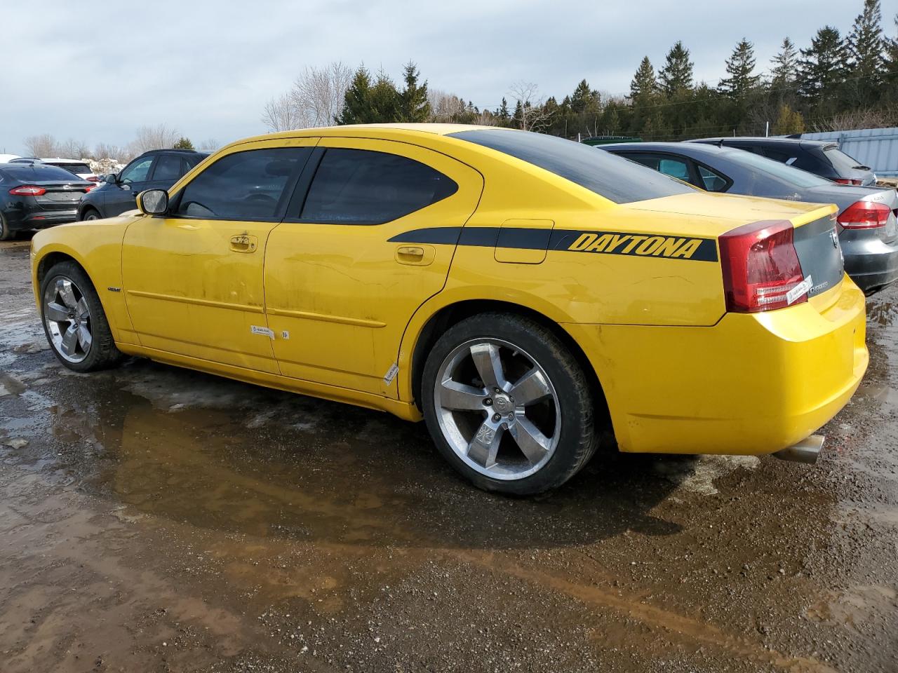 2006 Dodge Charger VIN 2B3LA53H56H325614 Copart auction photo, vandalism damage thumbnail 2