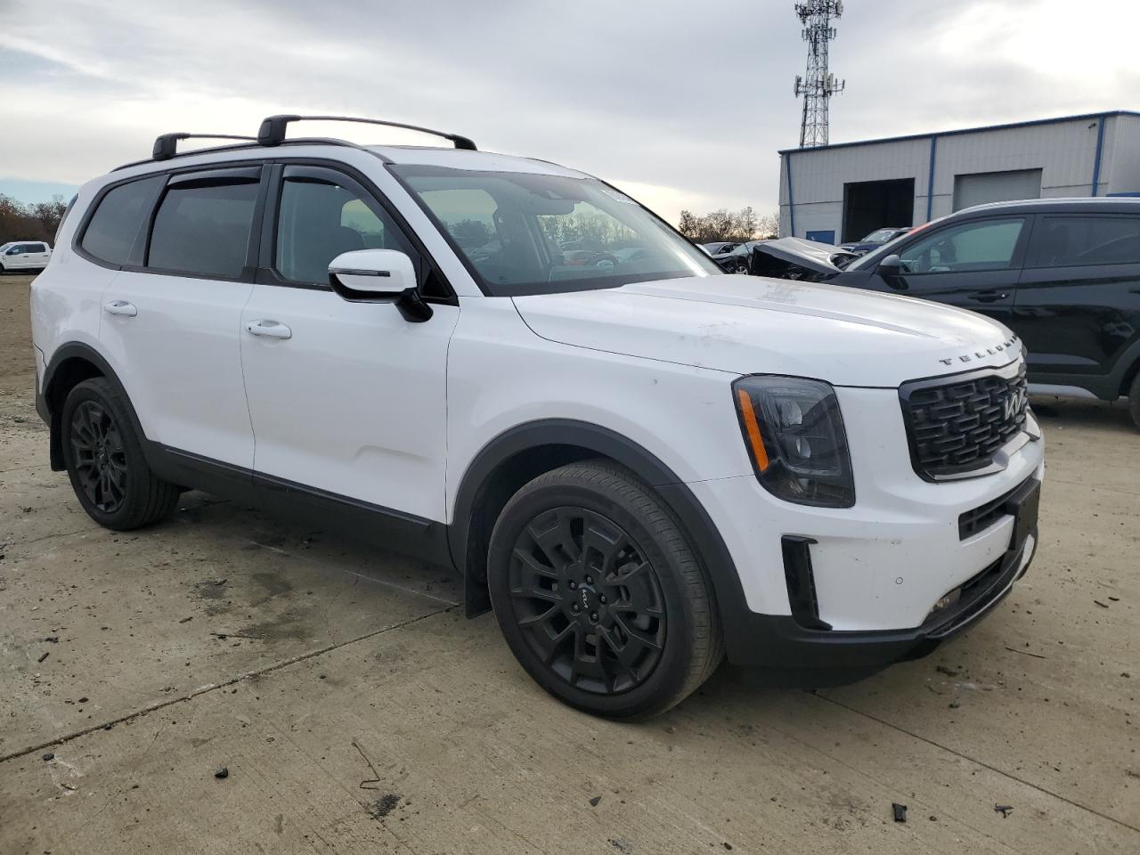 2022 KIA Telluride VIN 5XYP5DHC0NG218298 Copart auction photo, rear end damage thumbnail 4