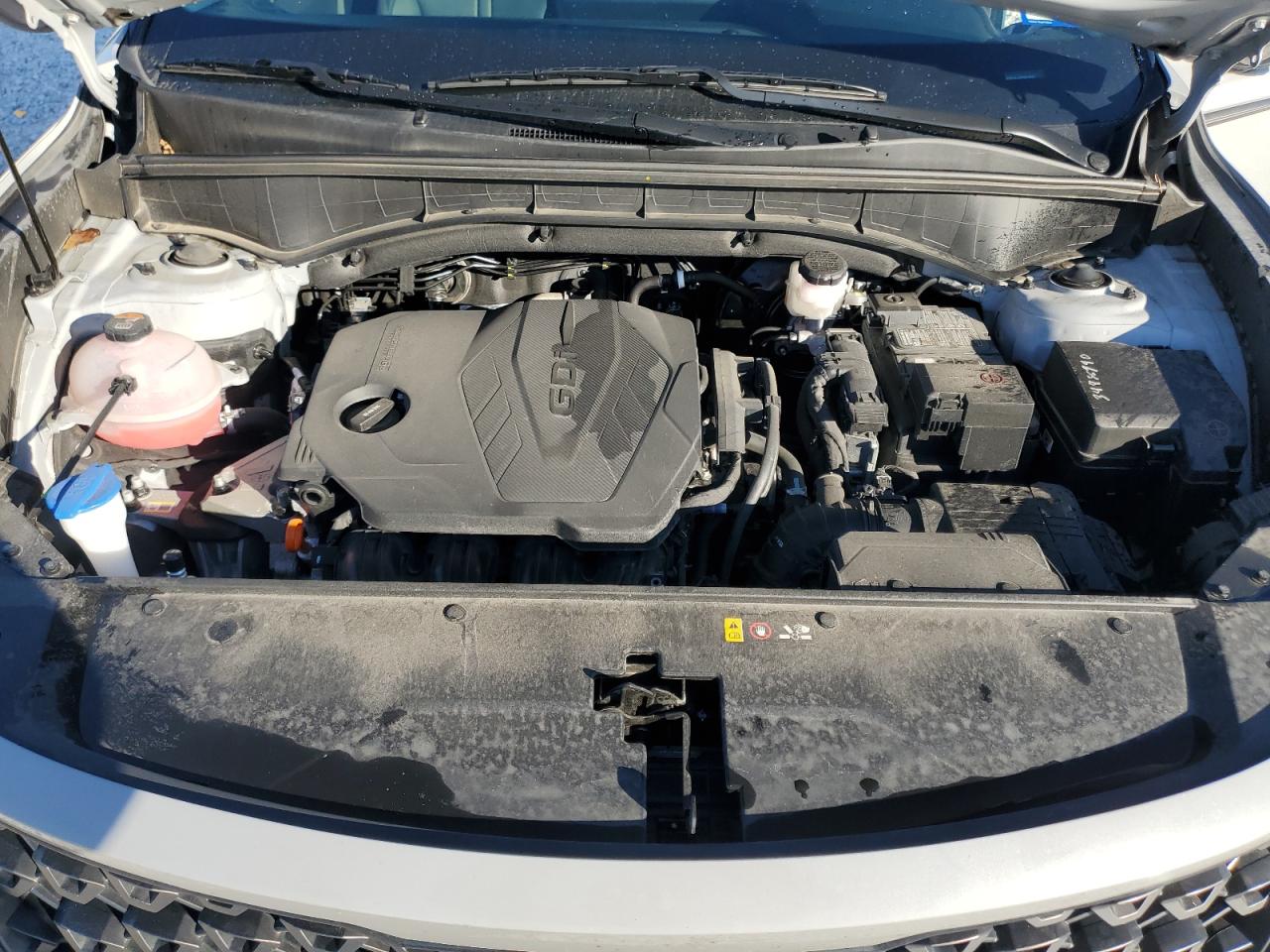 2023 KIA Sorento VIN 5XYRLDLC4PG220435 Copart auction photo, side / rear end damage thumbnail 12