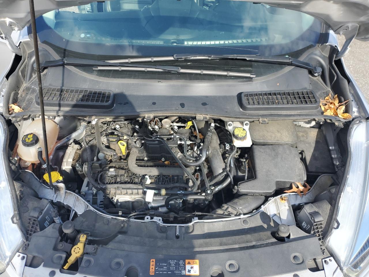 2019 Ford Escape VIN 1FMCU0HD2KUB46156 Copart auction photo, side damage thumbnail 12
