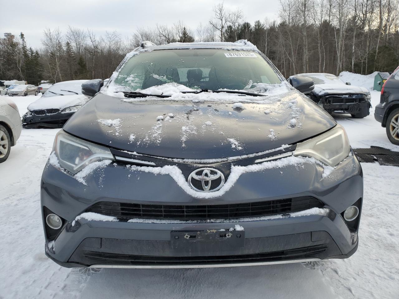 2016 Toyota RAV 4 VIN 2T3WFREV7GW250908 Copart auction photo, side damage thumbnail 5