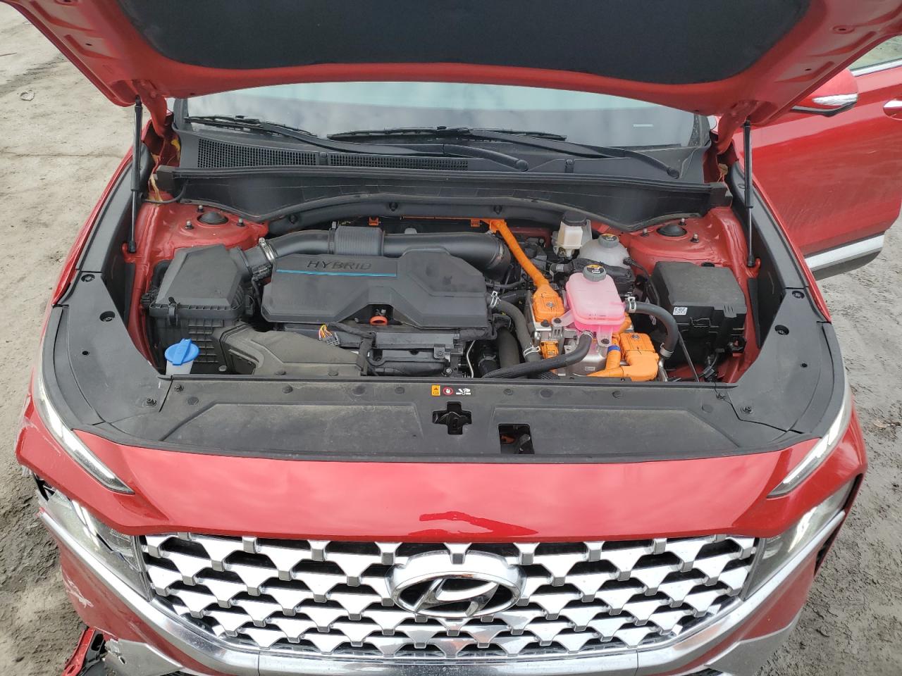 2023 Hyundai Santa Fe VIN 5NMS5DA12PH009480 Copart auction photo, front end / side damage thumbnail 12