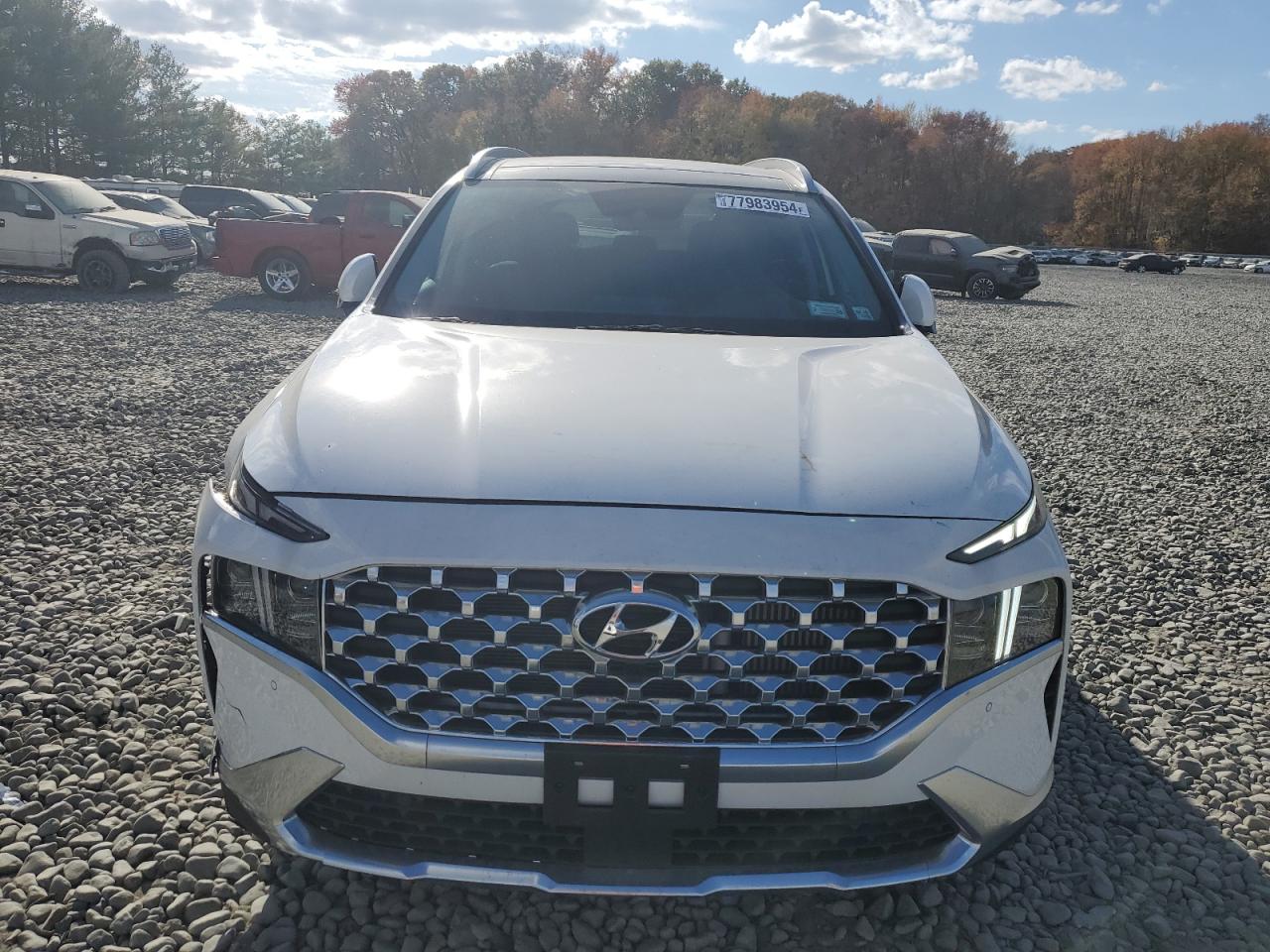 2023 Hyundai Santa Fe VIN 5NMS4DAL6PH655092 Copart auction photo, front end / side damage thumbnail 5