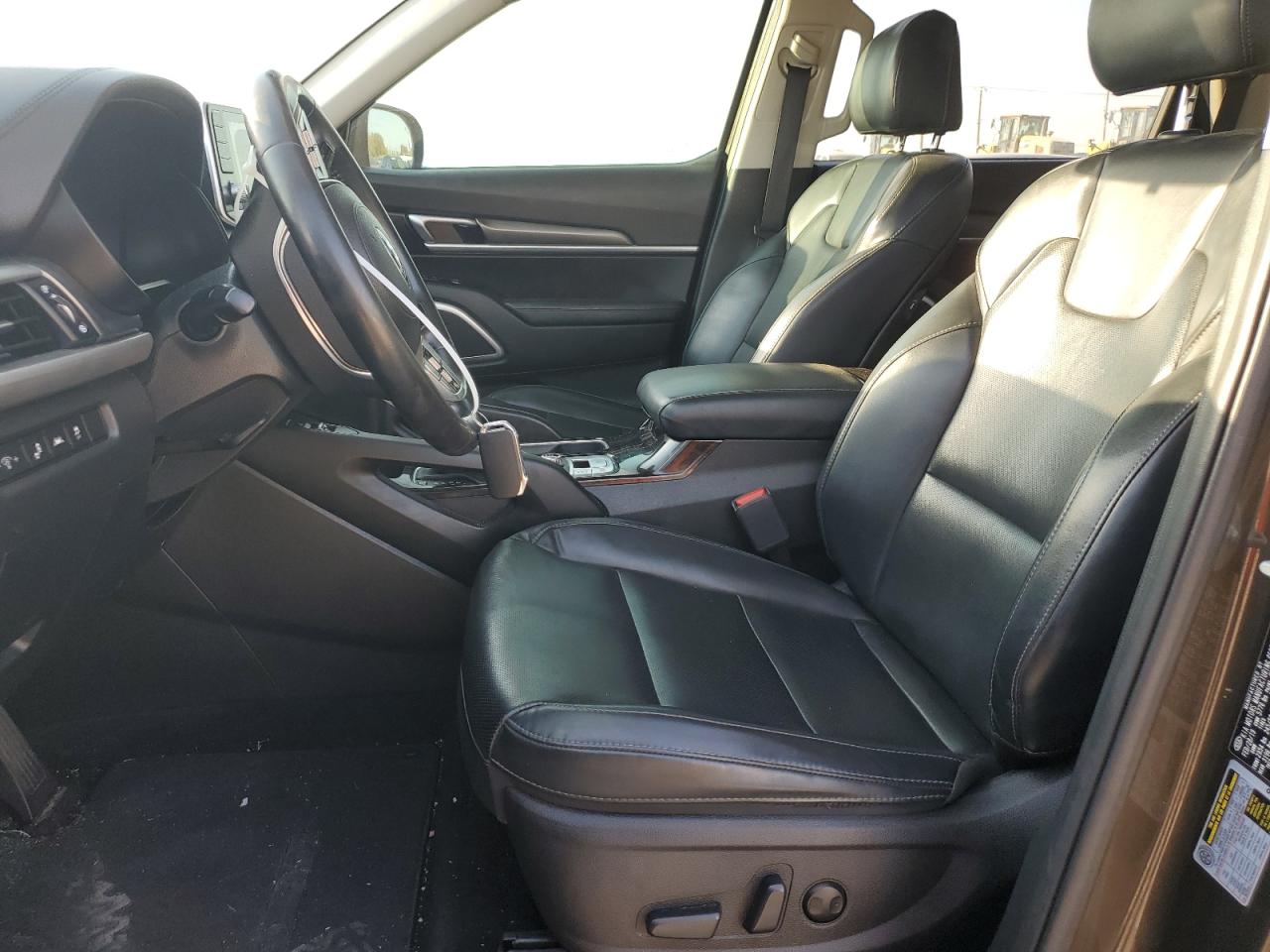 2020 KIA Telluride VIN 5XYP64HC6LG006712 Copart auction photo, hail / minor dent/scratches damage thumbnail 7