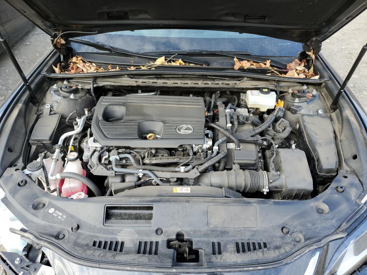 2022 Lexus ES VIN 58AEA1C11NU013518 Copart auction photo, front end / rear end damage thumbnail 11
