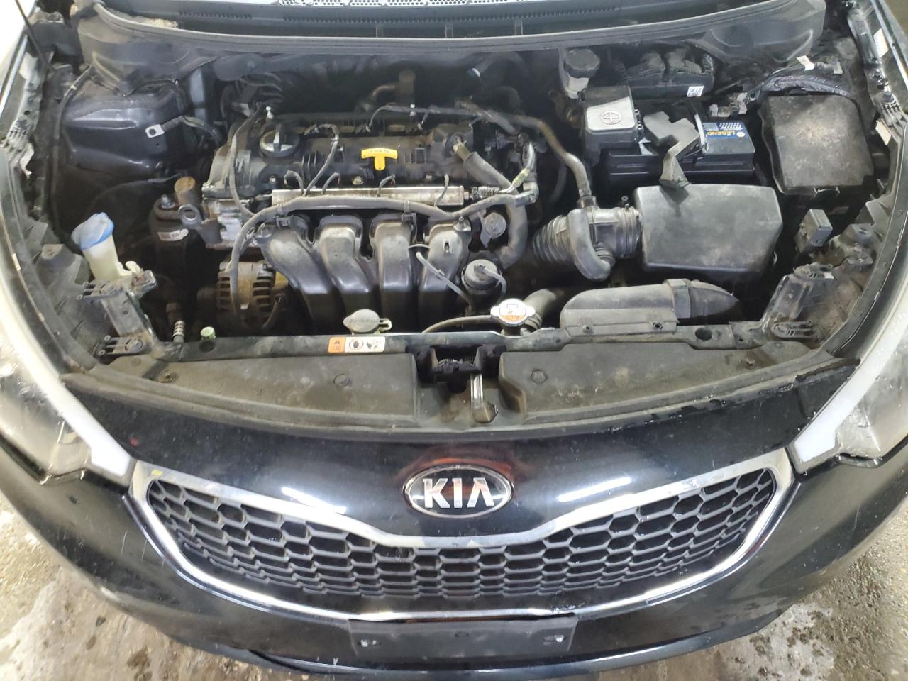 2016 KIA Forte VIN KNAFX4A65G5541345 Copart auction photo, all over / mechanical damage thumbnail 11