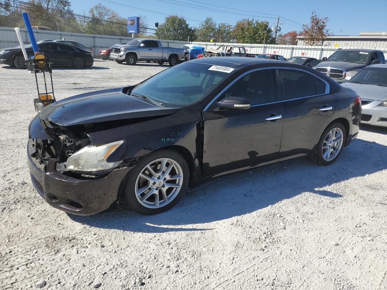 2010 Nissan Maxima VIN 1N4AA5AP9AC867977