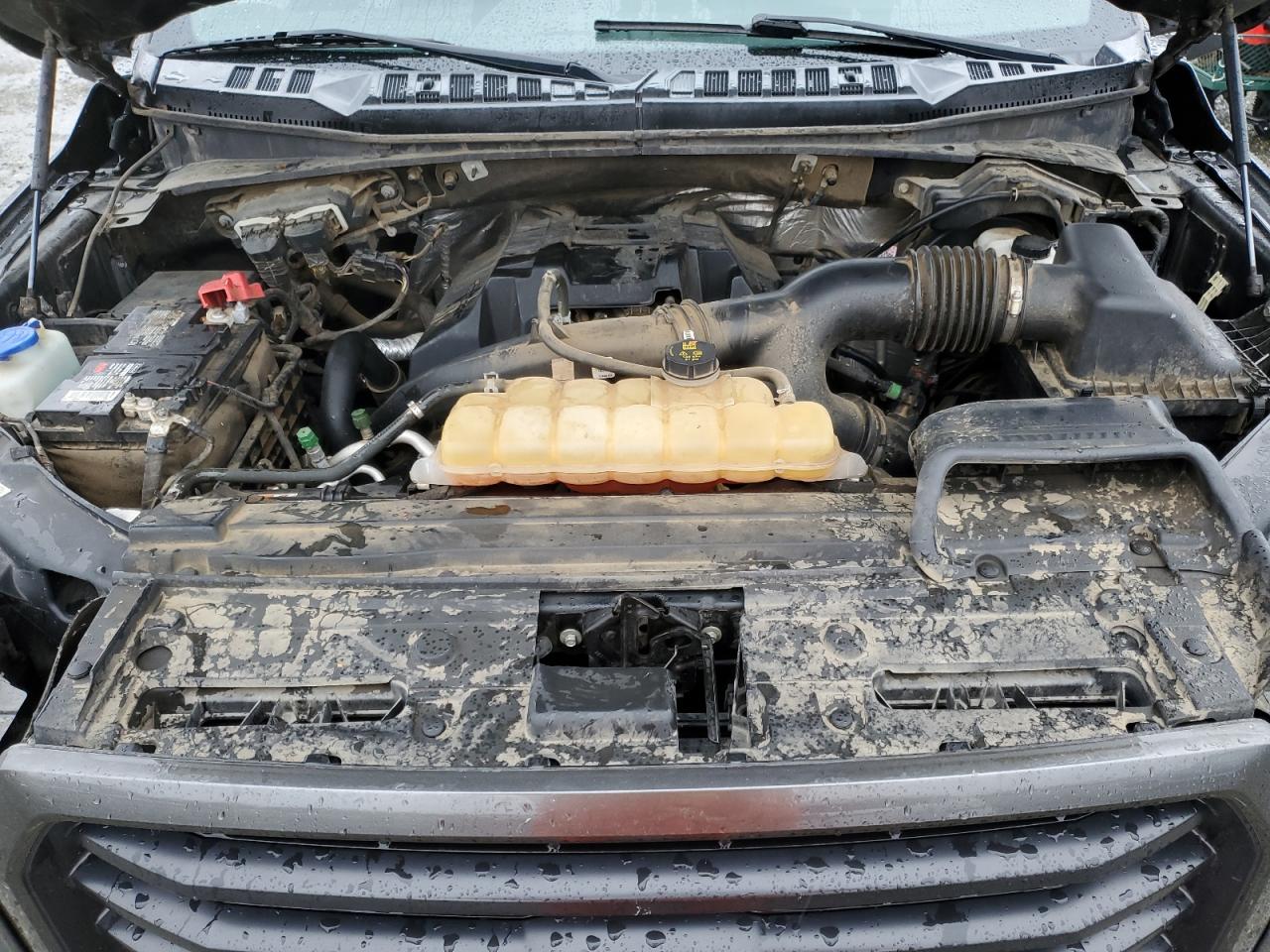 2017 Ford F-150 VIN 1FTEW1EP3HFA26004 Copart auction photo, side damage thumbnail 11