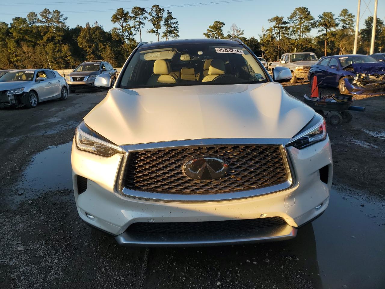 2021 Infiniti QX50 VIN 3PCAJ5CB4MF114697 Copart auction photo, rear end damage thumbnail 5
