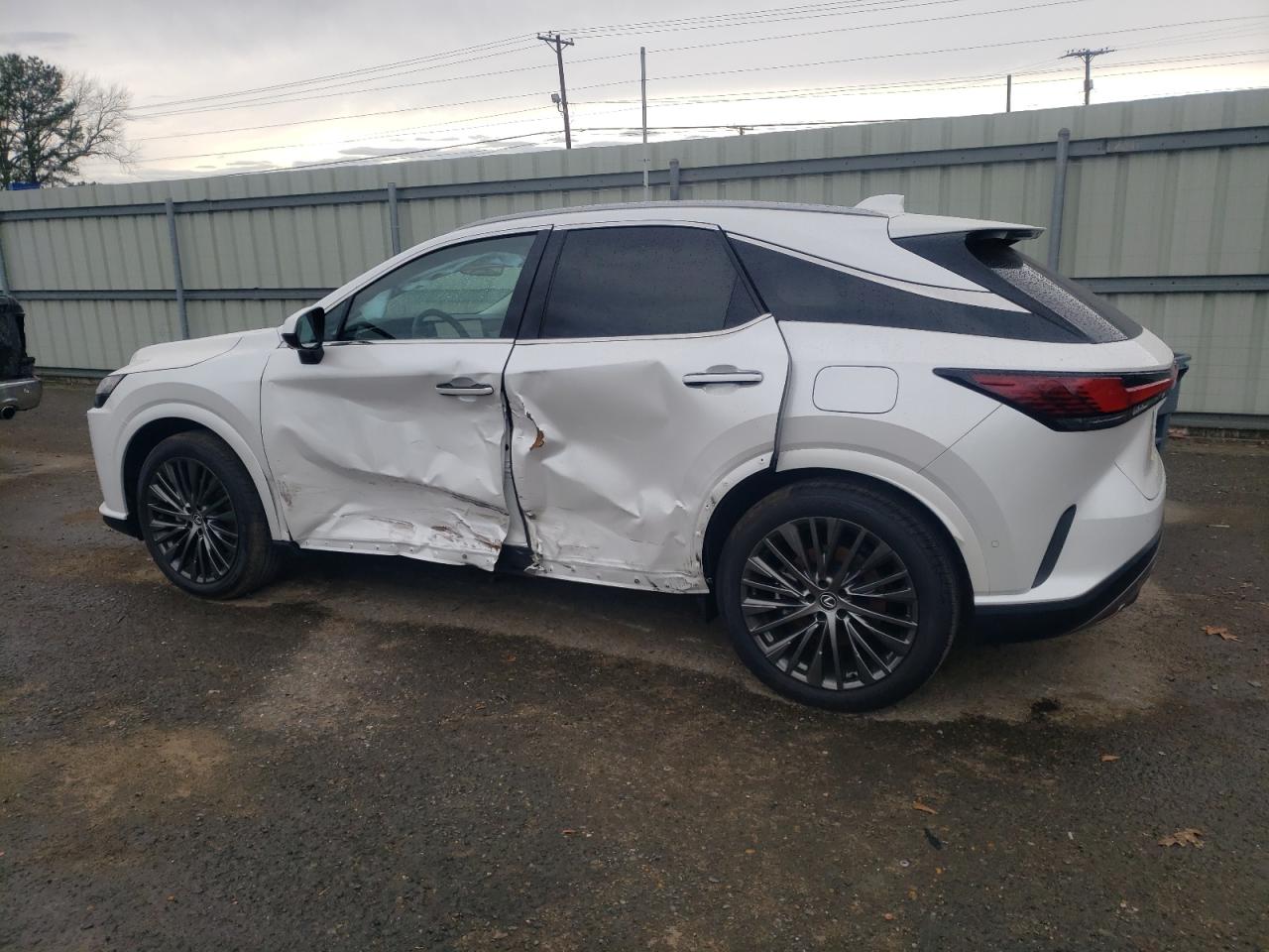 2023 Lexus RX VIN 2T2BAMBA8PC016445 Copart auction photo, side damage thumbnail 2