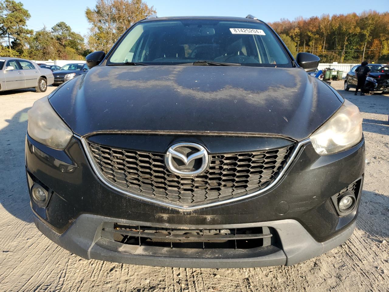 2013 Mazda CX-5 VIN JM3KE4CE4D0111981 Copart auction photo, side / minor dent/scratches damage thumbnail 5