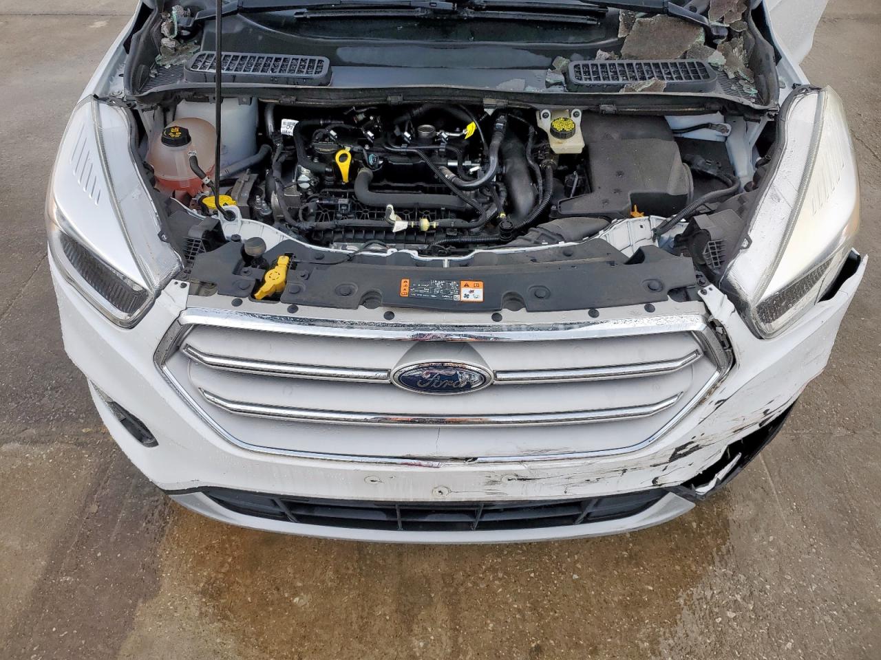 2019 Ford Escape VIN 1FMCU0GD1KUA40914 Copart auction photo, front end damage thumbnail 13
