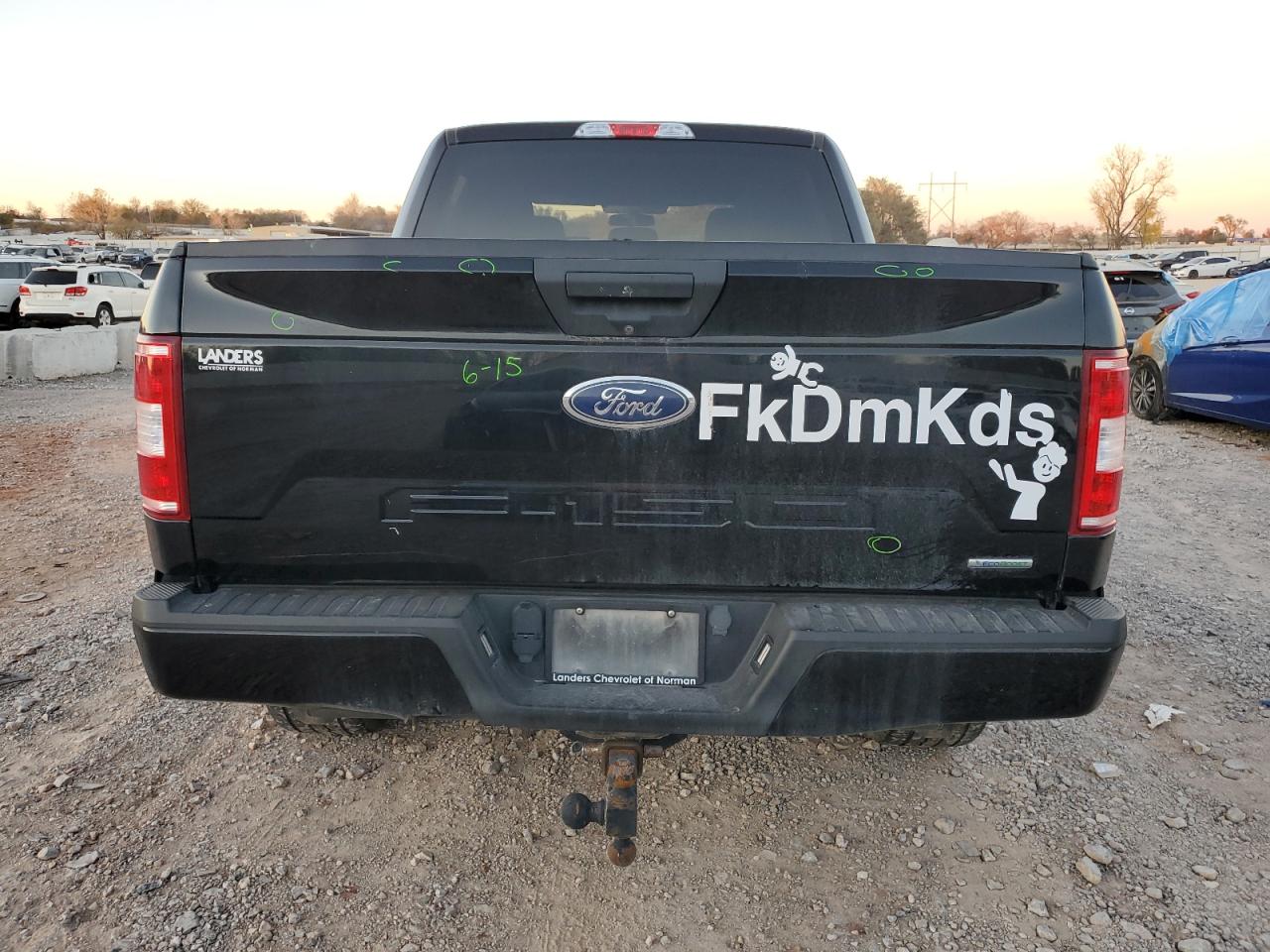 2018 Ford F-150 VIN 1FTEW1EG6JKF03134 Copart auction photo, hail / minor dent/scratches damage thumbnail 6