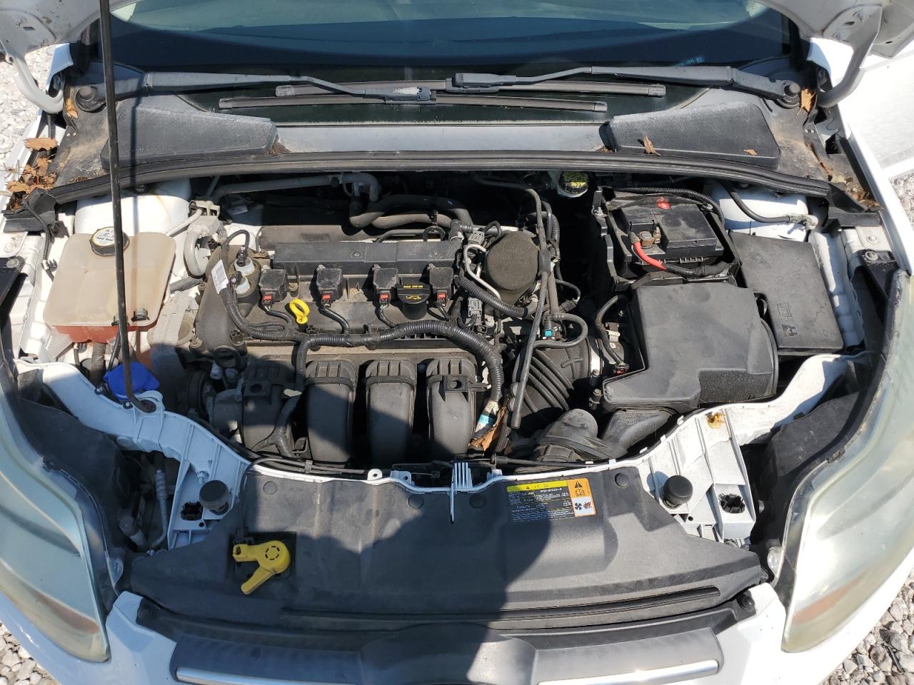 2013 Ford Focus VIN 1FADP3E23DL115579 Copart auction photo, side damage thumbnail 11
