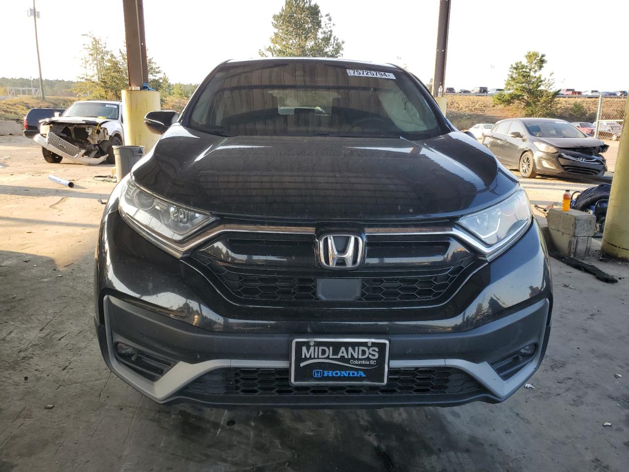 2020 Honda CR-V VIN 5J6RW2H58LA014769 Copart auction photo, side damage thumbnail 5