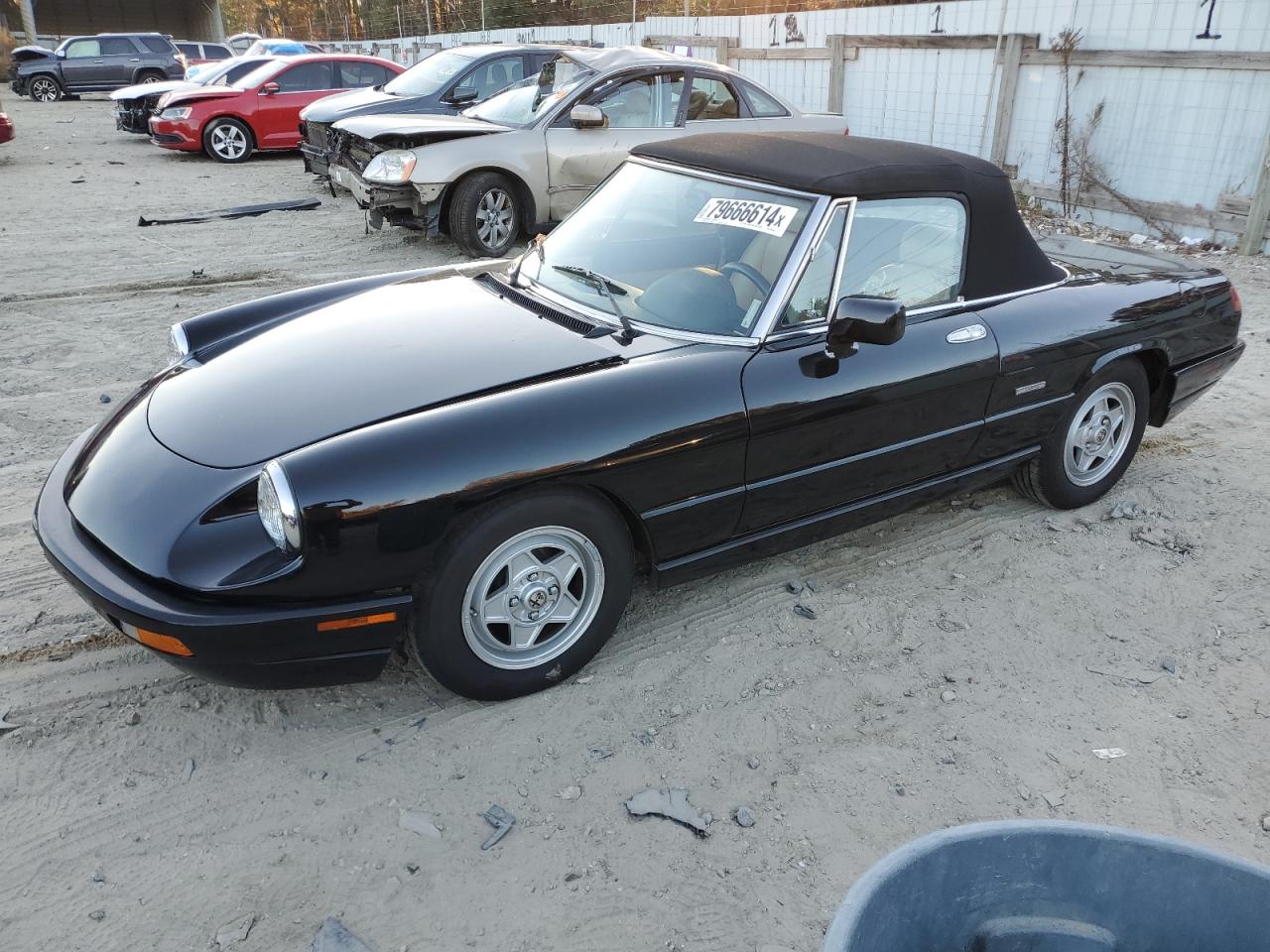 1991 Alfa Romeo Spider VIN ZARBB32G1M6007546 - Copart auction photo