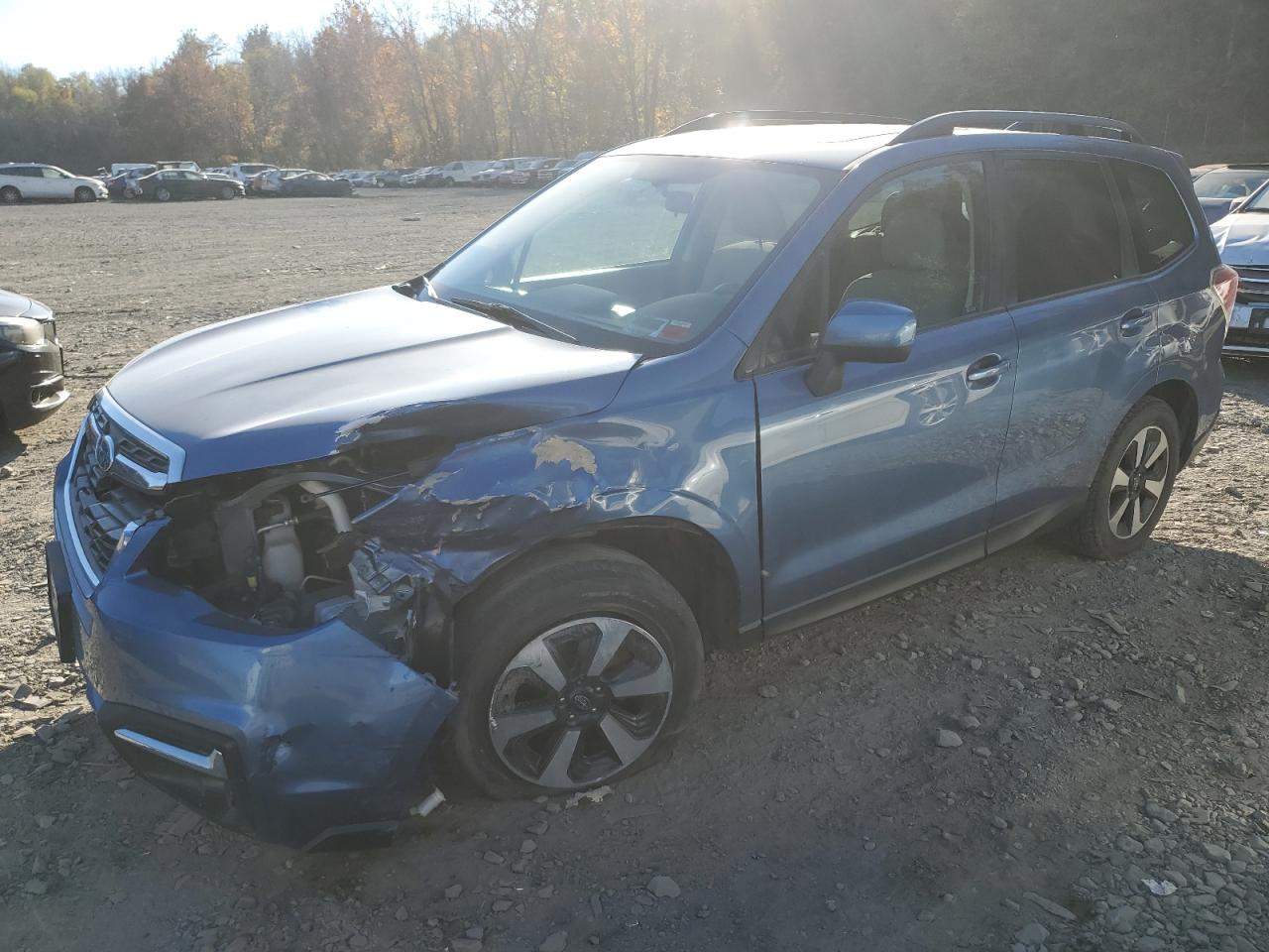 2017 Subaru Forester VIN JF2SJAEC2HH496142